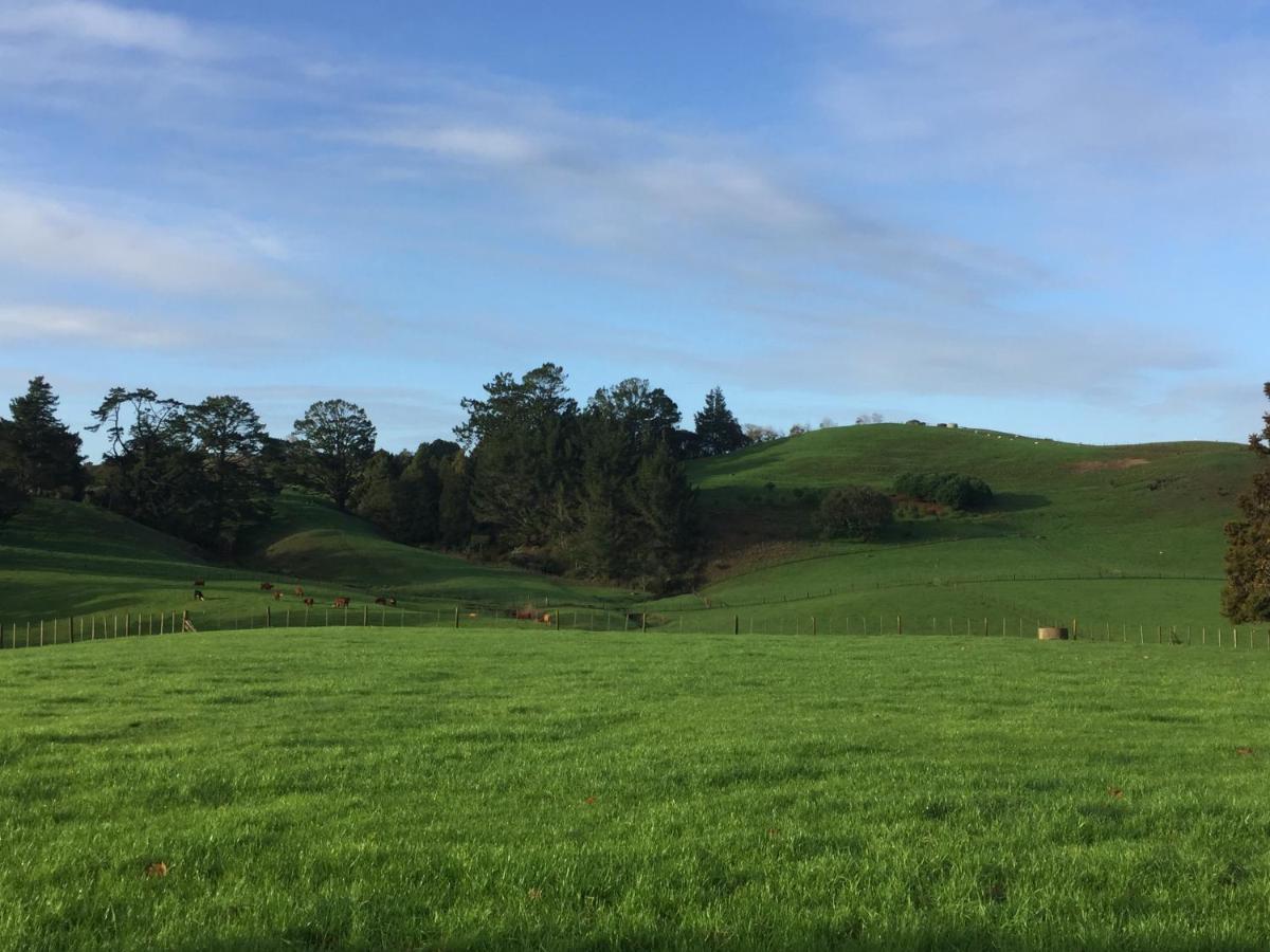 Veld View Bed And Breakfast Tuakau Exteriér fotografie