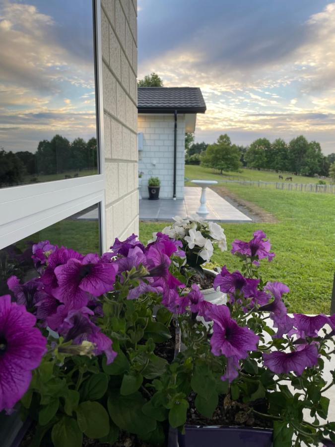 Veld View Bed And Breakfast Tuakau Exteriér fotografie