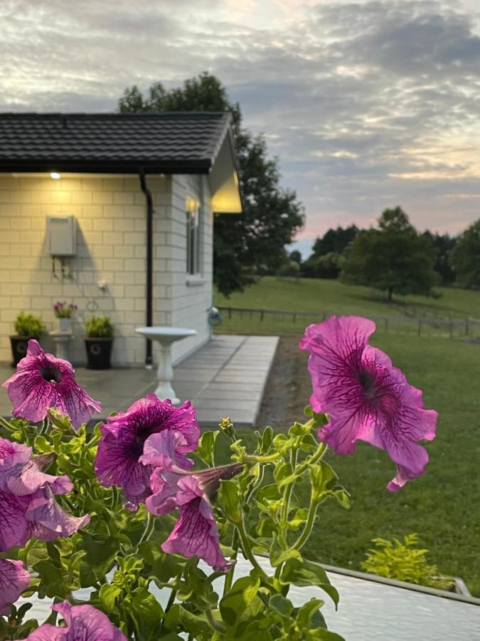 Veld View Bed And Breakfast Tuakau Exteriér fotografie