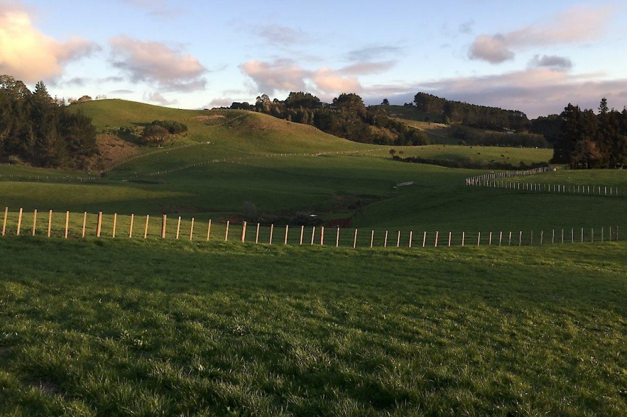 Veld View Bed And Breakfast Tuakau Exteriér fotografie